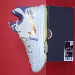 BRAND NEW NIKE LEBRON WITNESS V